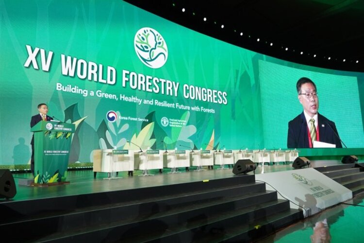 การประชุมป่าไม้โลกครั้งที่ 15 สิ้นสุดลง กล่าวถึงประเด็นด้านสิ่งแวดล้อมที่สำคัญ